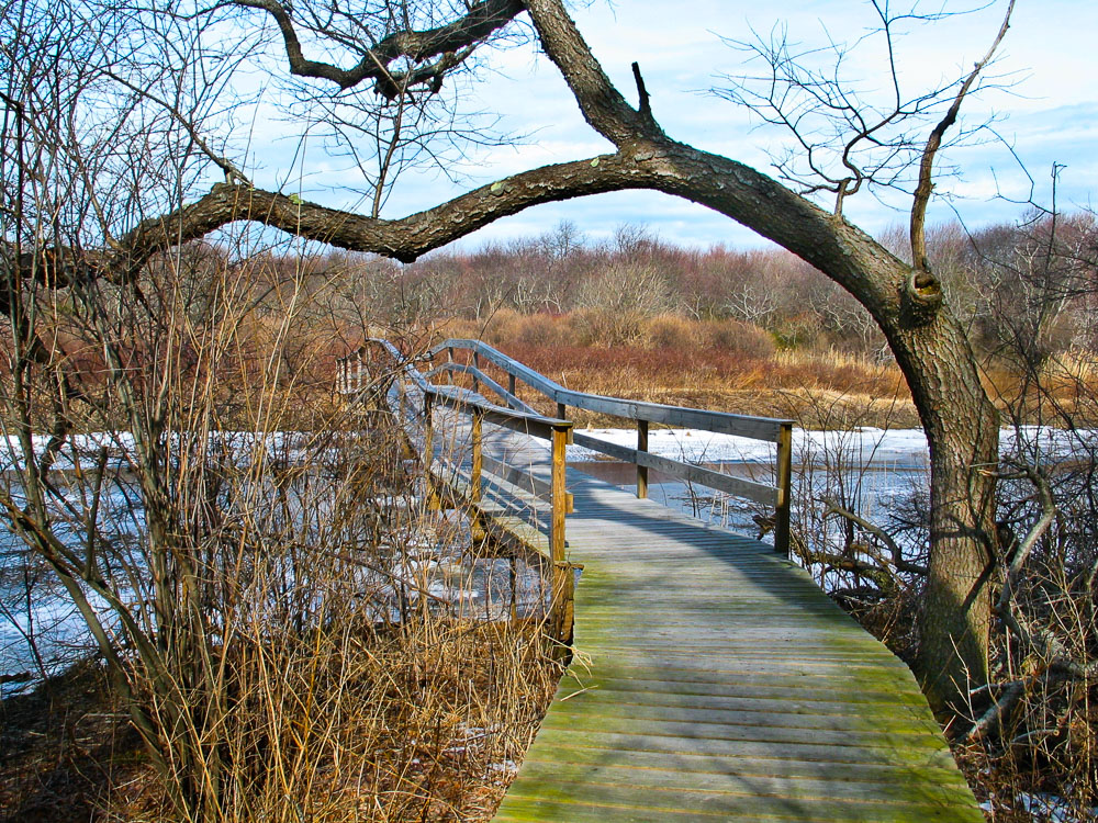 LSF_prj__0505-0028-bridge.jpg