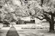 2020 HM Photography Winter Juried Show