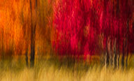 Currently on View at the Russell Gallery, Plymouth, MA