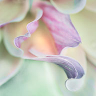 Currently on View at The Art Complex Museum, Duxbury, MA