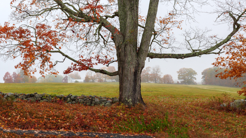 Previously on View at Helen Bumpus Gallery