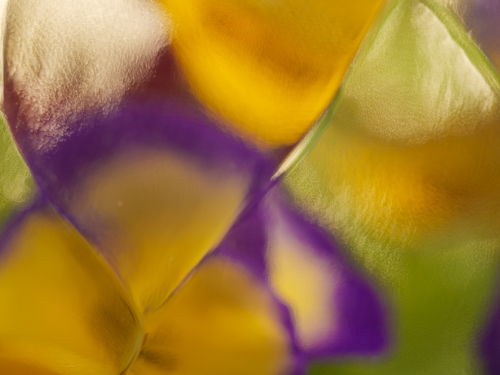 Exploring Abstractions with Glass - Lynne Shackleton Ford - Fine Art ...