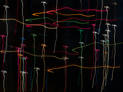 Galleries - Lynne Shackleton Ford - Fine Art Photography