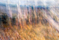 Inspired by Nova Scotia